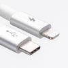 Festival USB-C to Lightning Cable [10 ft / 3m length]