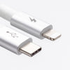 Laguna USB-C to Lightning Cable [10 ft / 3m length]